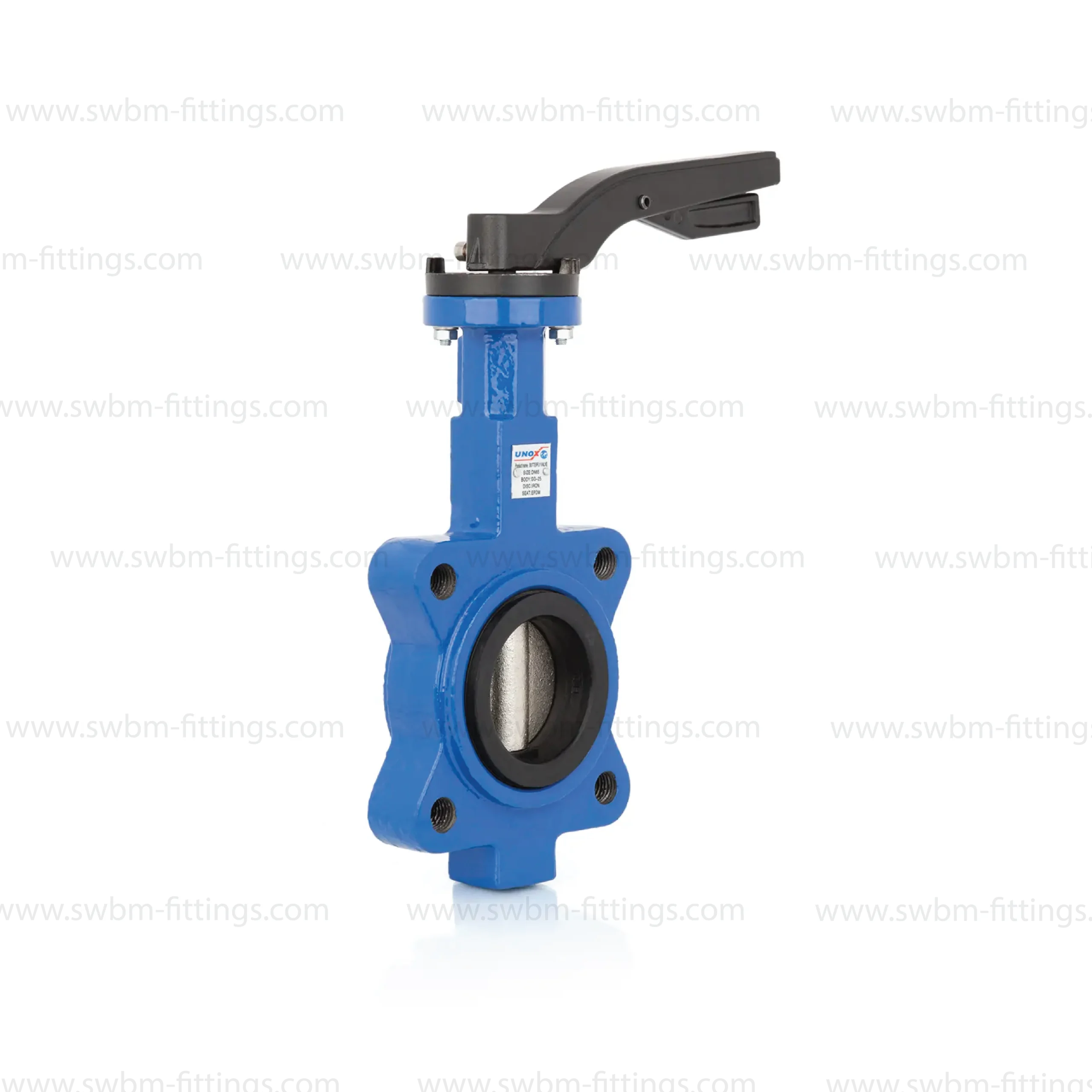 CI BUTTERFLY VALVE LUG SS DISC L/O CL150