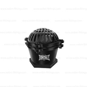 CI FOOT VALVE FLAP TYPE THREADED