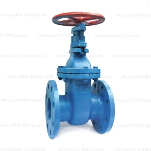 CI GATE VALVE PN16 EPDM SEAT BS 5163