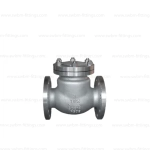 CI SWING CHECK VALVE FLANGE TYPE JIS 10K