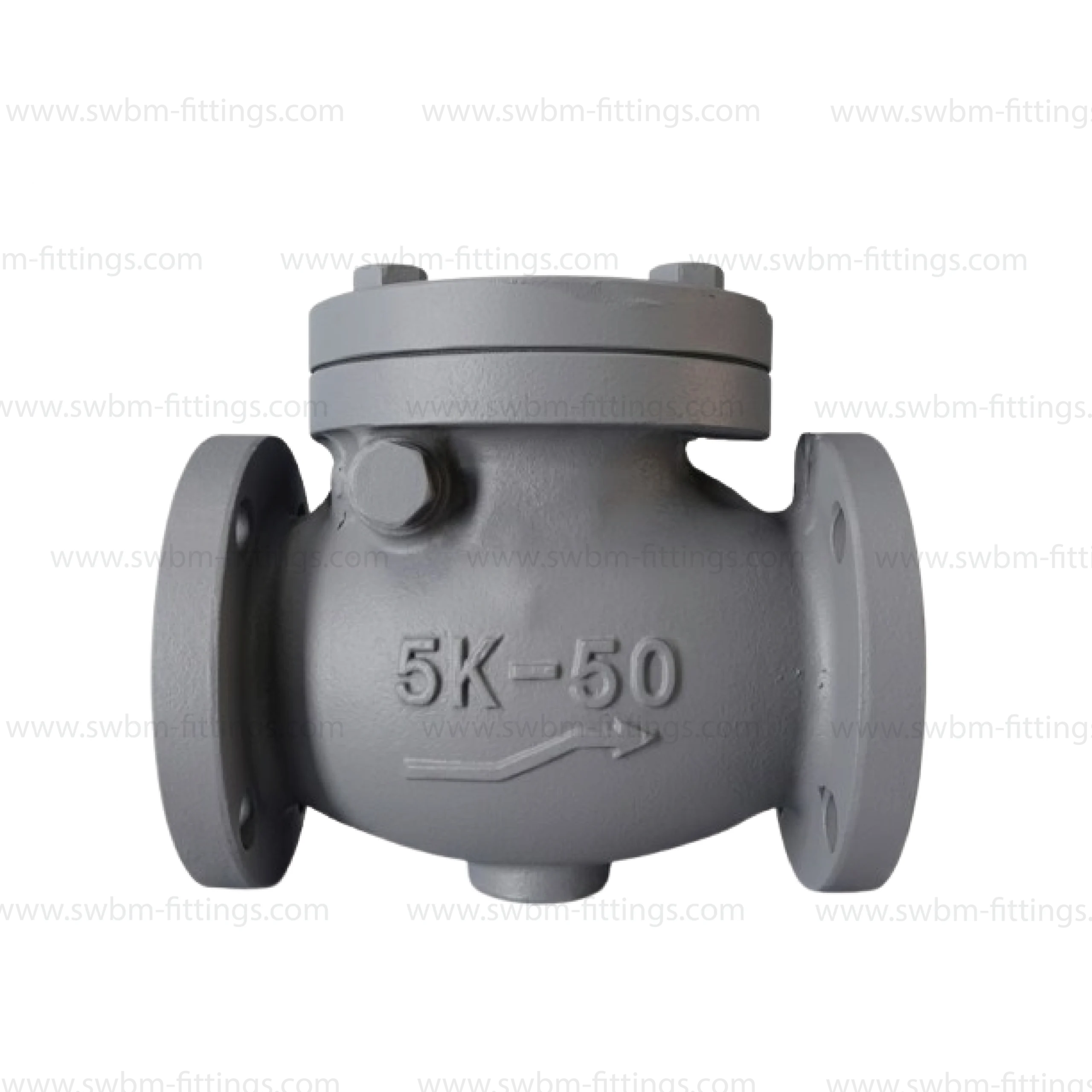 CI SWING CHECK VALVE FLANGE TYPE JIS 5K
