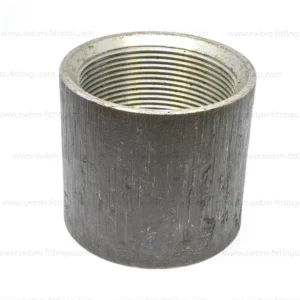 MS 1000PSI COUPLING / SOCKET