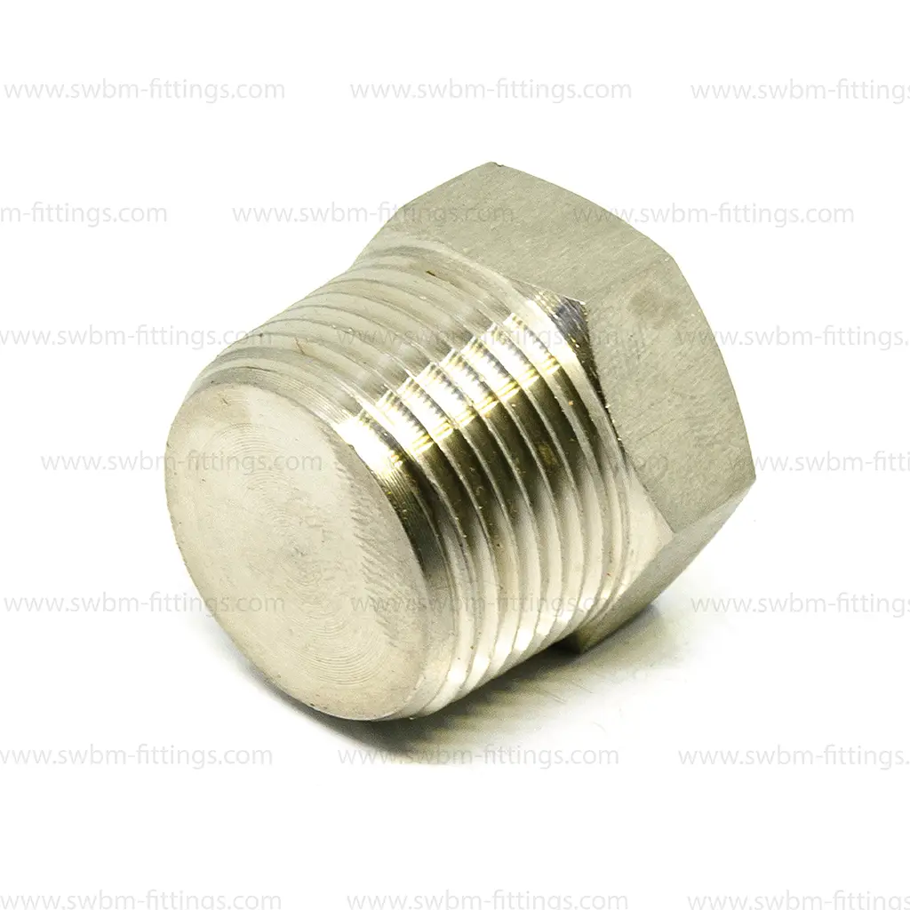 SS316L 3000 PSI HEX PLUG - MALE THREADED - Image 2