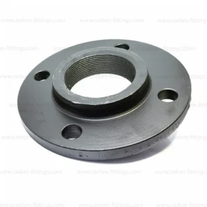 CS FORGED A105 THREADED RF/FF