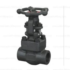 CS FORGED GATE VALVE CL1500