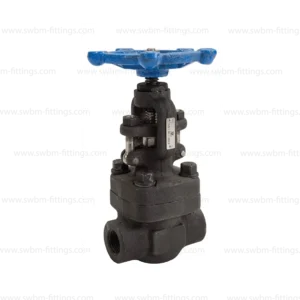 CS FORGED GLOBE VALVE CL800