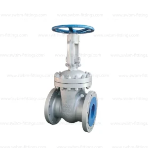 CS GATE VALVE FLANGE TYPE CL300
