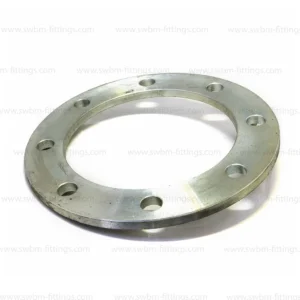 GI BACKING RING PN16