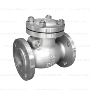 valves-check-valve-flanged-ss-in-uae