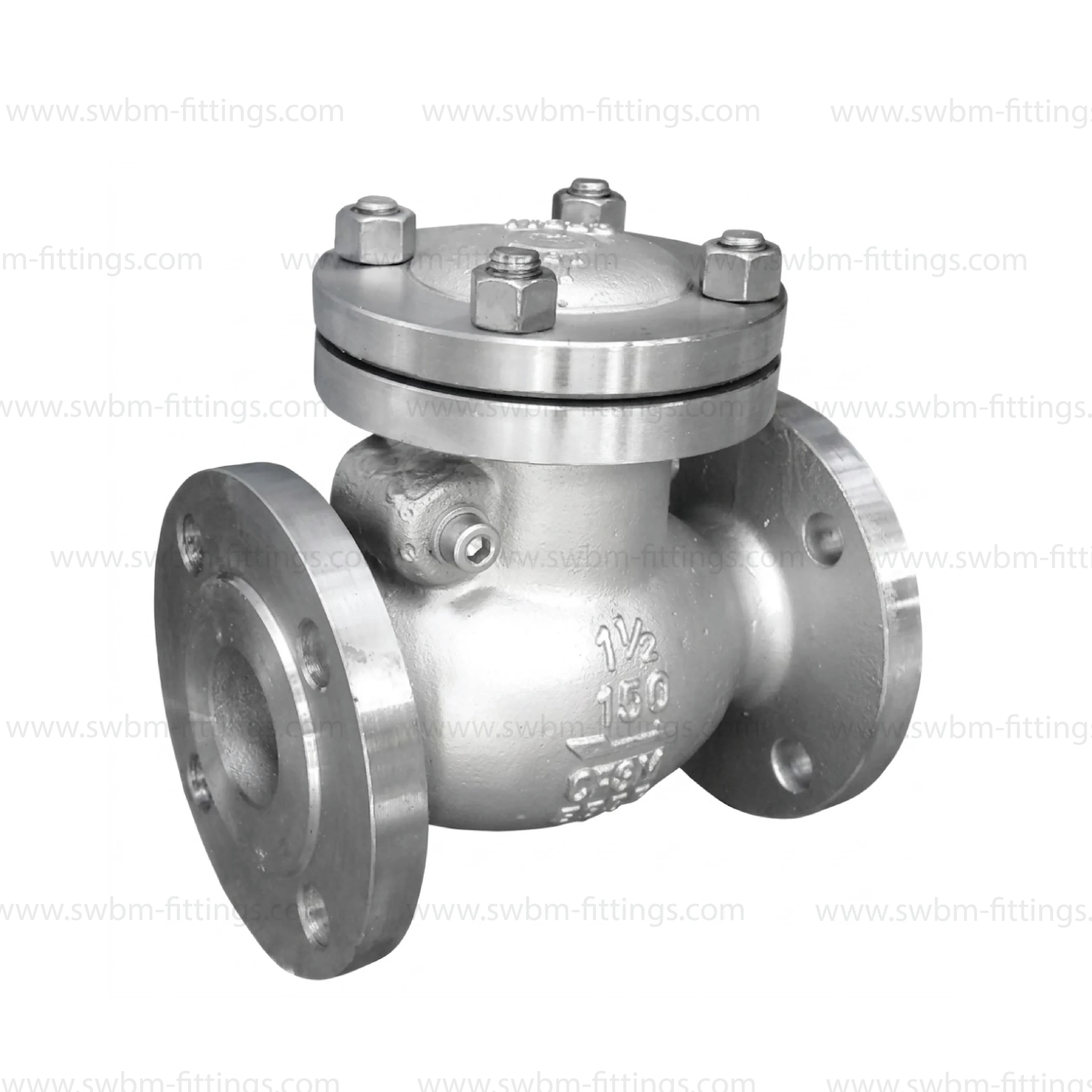 valves-check-valve-flanged-ss-in-uae