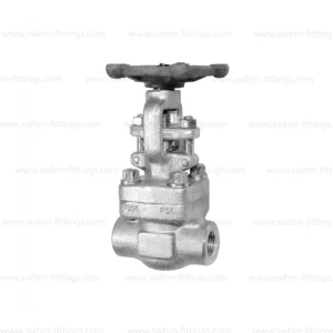 SS316 FORGED GATE VALVE CL800 NPT