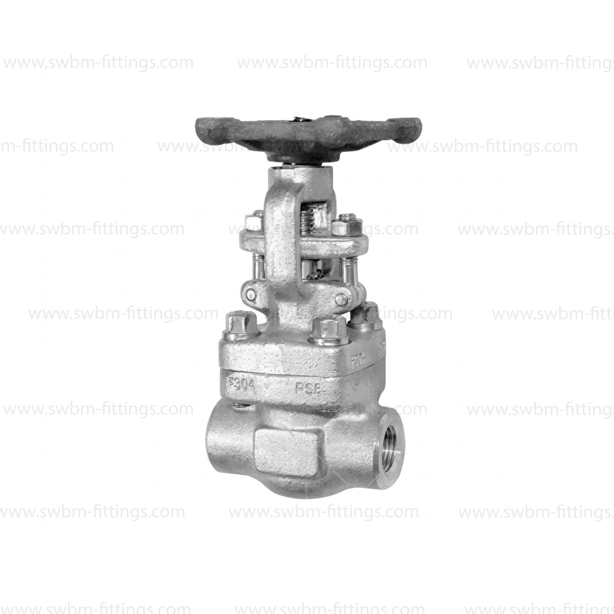 SS316 FORGED GATE VALVE CL800 NPT